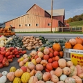 Hershberger Farm Market, Holmes County