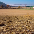 Farm Field Near Laurelville, Hocking County