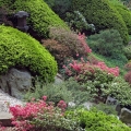 Japanese Garden, Cleveland Botanical Garden