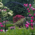 Rose Garden Arch, Cleveland Botanical Garden