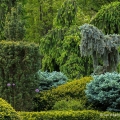 Topiary Garden, Cleveland Botanical Garden