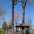 Tree House, Hershey Children's Garden, Cleveland Botanical Garden