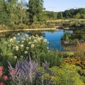 Butterfly Garden, The Holden Arboretum