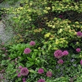 Gardenview Horticultural Park, Strongsville