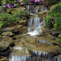 Garden Waterfall by The Pattie Group