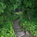 Path to Japanese Garden, Stan Hywet Hall & Gardens, Akron