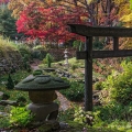 Japanese Garden, Stan Hywet Hall & Gardens, Akron