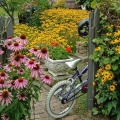 Garden At Zoar, Tuscarawas County
