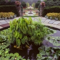 Water Garden, Kingwood Center, Mansfield