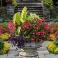 Sunken Garden, Kingwood Center, Mansfield