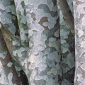 Lacebark Pine, Dawes Arboretum