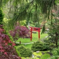 Japanese Garden View, Schedel Gardens, Elmore