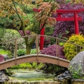 Japanese Garden, Schedel Arboretum, Elmore