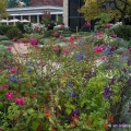 Western Reserve Herb Garden, Cleveland Botanical Garden