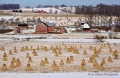 Amish farms near Wilmot, Holmes County, Ohio