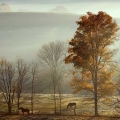 Amish Farms, Holmes County, Ohio