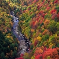 Blackwater River Gorge, Davis County, West Virginia