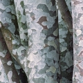 Lacebark Pine Bark, Dawes Arboretum, Ohio