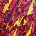 Madrone Bark, Portland, Oregon