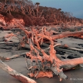 Sunrise at Black Point Beach, Big Talbot Island State Park, Florida