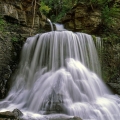 Cow Shed Falls, Filmore State Park, New York