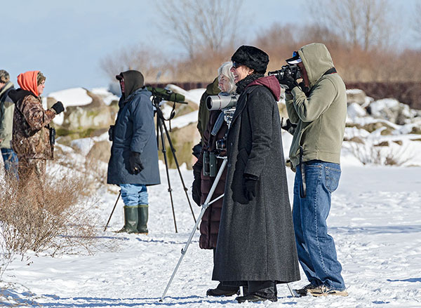 Cheryl Harner at Cleveland Lakefront 