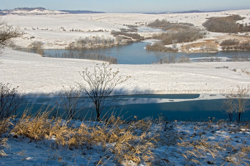 View from the Visitor Center, the Wilds