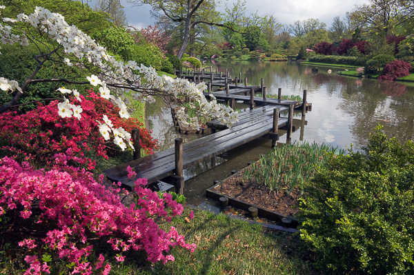 Japanese Garden, Missouri Botanical Garden, St. Louis
