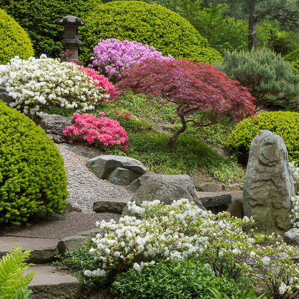 The Japanese Garden at Cleveland Botanical Garden in University Circle, Cleveland, Ohio