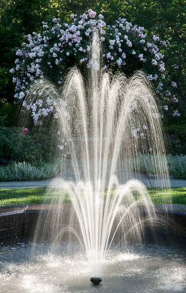 Fountain in the Rose Garden at Cleveland Botanical Garden 