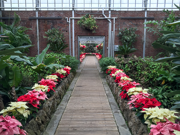 Rockefeller Greenhouse, Standard iPhone 6 Lens 