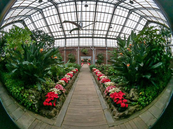 Rockefeller Greenhouse, iPro Fisheye Lens