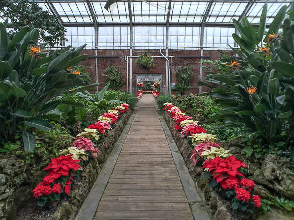 Rockefeller Greenhouse, iPro Super Wide Lend (12mm)