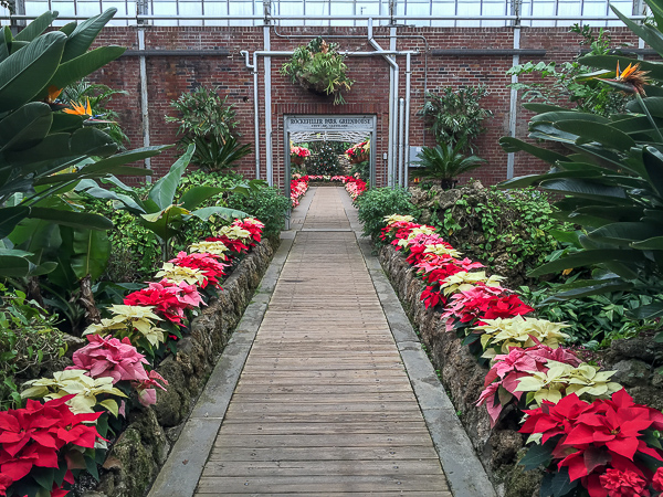 Rockefeller Greenhouse, iPro Wide Lens (20mm)